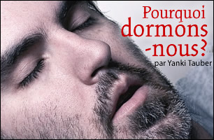 Pourquoi dormons-nous ?