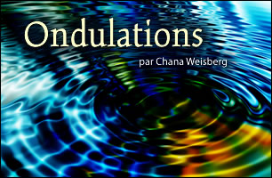 Ondulations